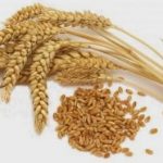 من طعام الرسول عليه الصلاة والسلام