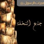 هل النبات يسبح باسم الله